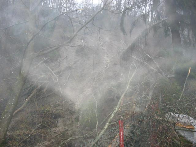 Frana Colladina