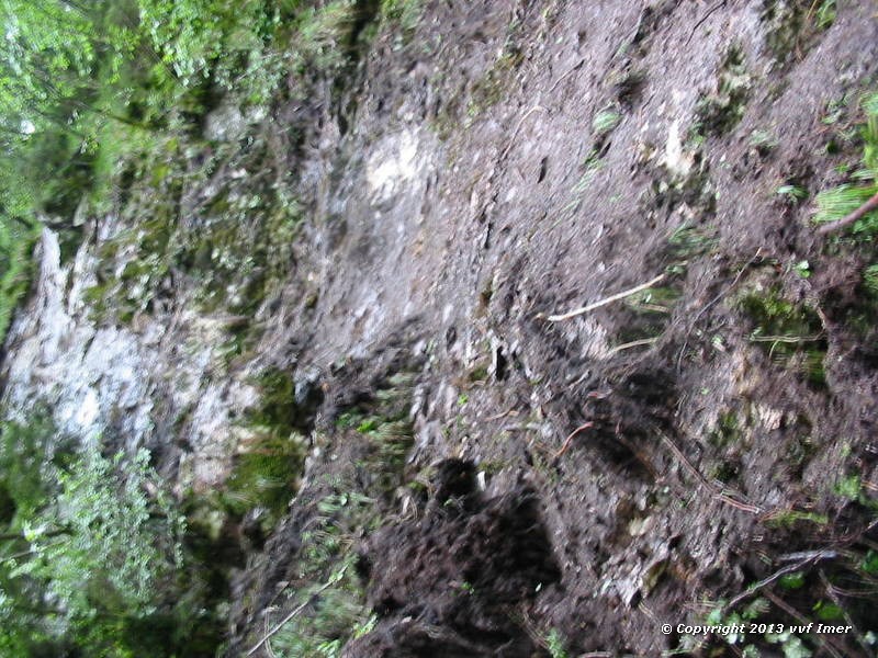IMG_6034.jpg